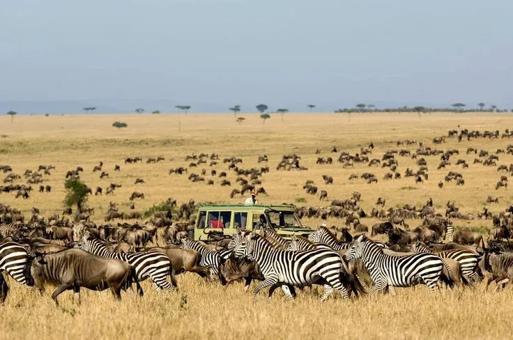 Tanzania Fly-In Safari