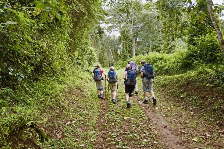 Kilimanjaro Day Hike – Marangu Route Trek