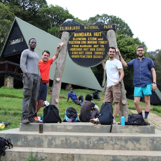 Hikers on Kilimanjaro Day Hike Marangu Route trekking through rainforest with panoramic views