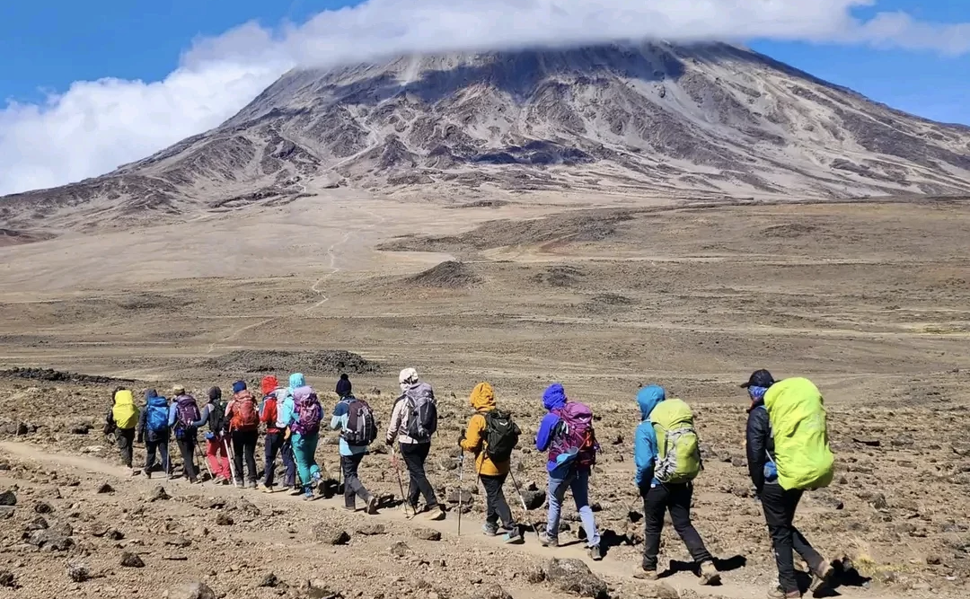 Safari and Kilimanjaro combination Tanzania