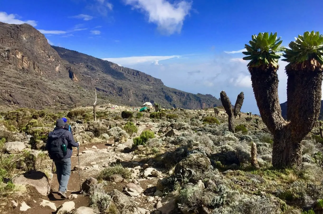 Northern Circuit route Kilimanjaro 8 days