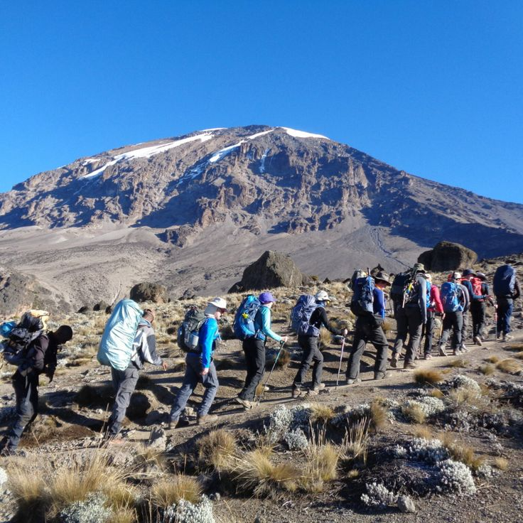 8 Days Mount Kilimanjaro Lemosho Route climb with rainforest trails, Shira Plateau, Lava Tower, Barranco Wall, Karanga, Barafu Camp, Uhuru Peak, professional guides, and emergency oxygen