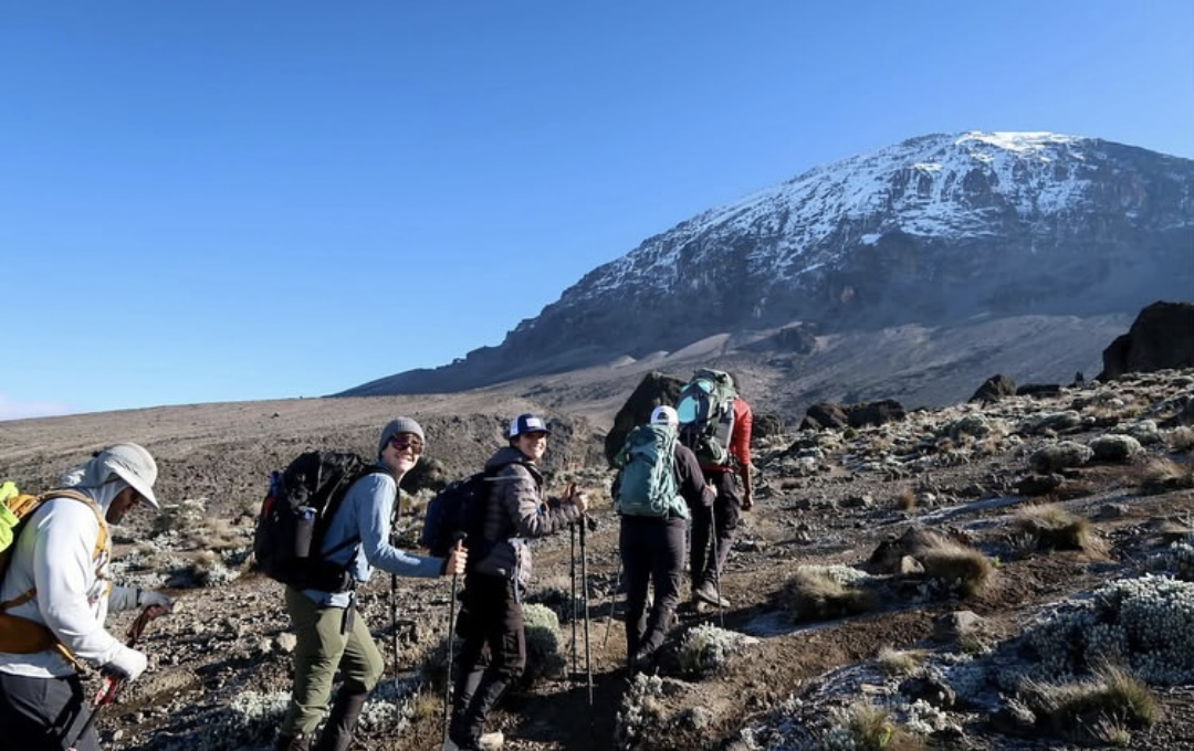 Lemosho route Kilimanjaro 6 days