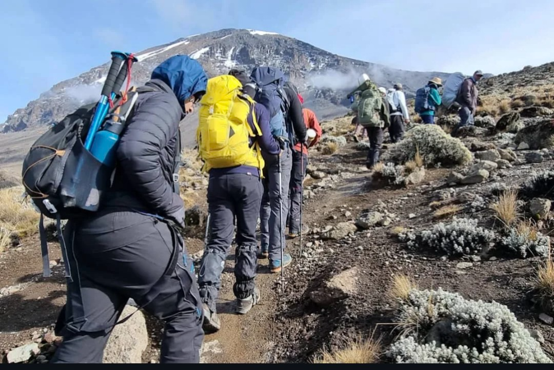 Kilimanjaro climb