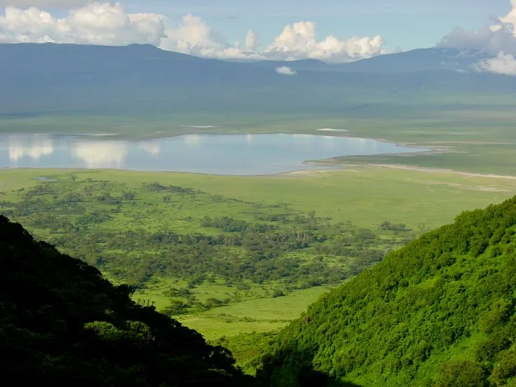 Ngorongoro Crater Day Trip – Wildlife Safari