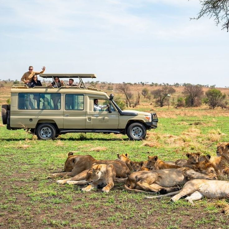 Tarangire Ngorongoro safari