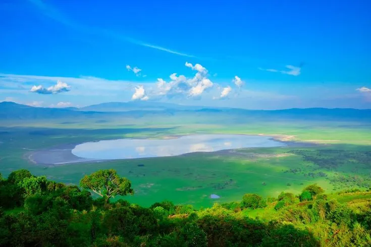 Ngorongoro Crater Day Trip – Wildlife Safari