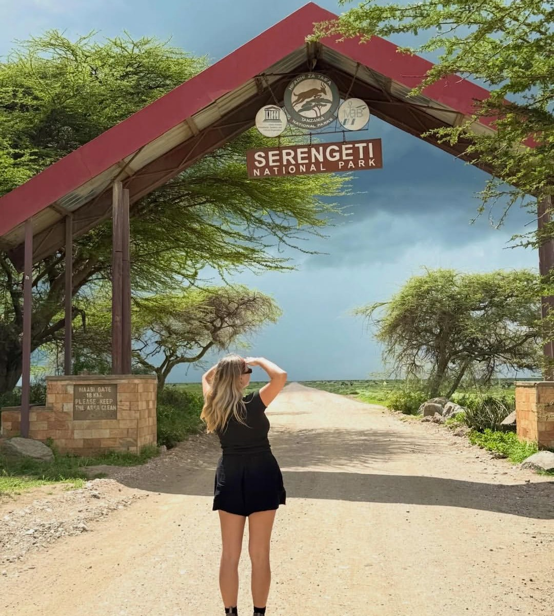 Luxury safari in Serengeti and Ngorongoro Tanzania with wildebeest and predators