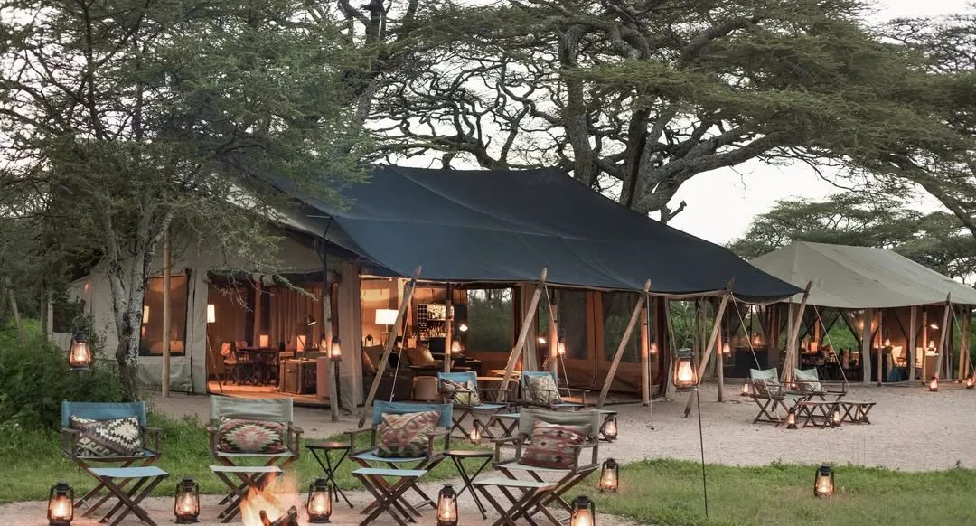 Guests clinking glasses at a Serengeti sundowner