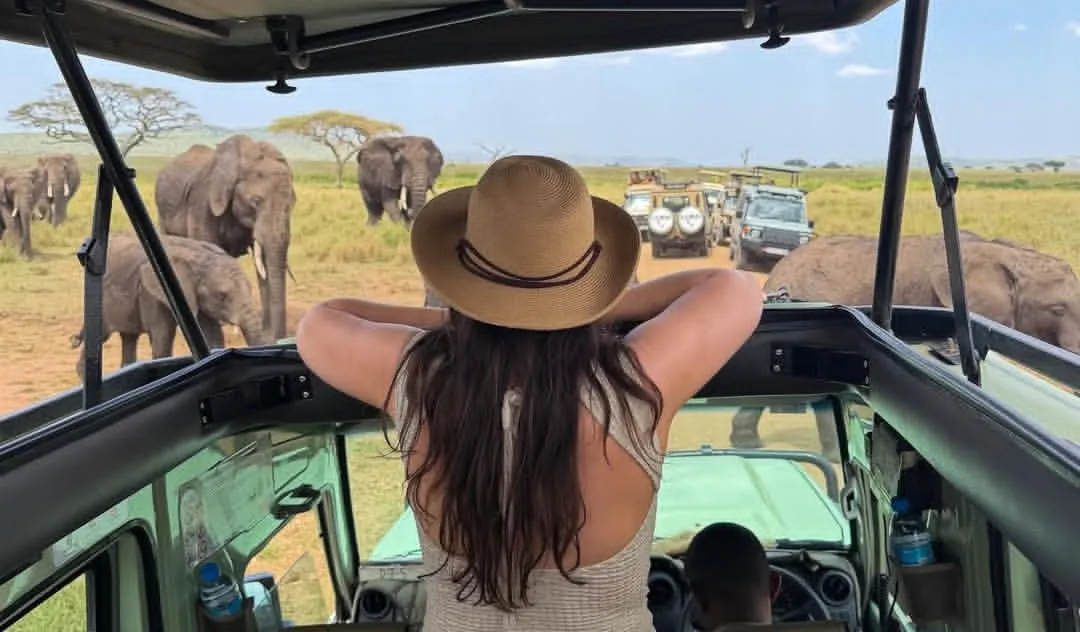 Luxury 3-day Serengeti safari from Arusha with private 4x4 and guided game drives