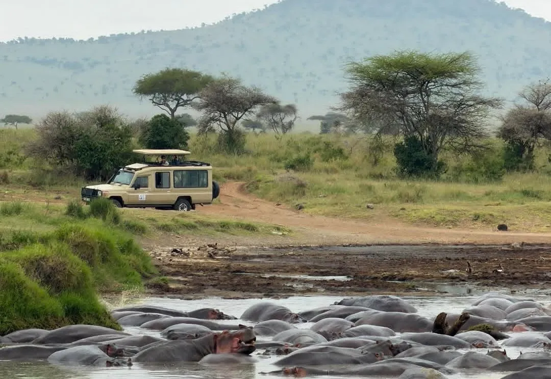 7-Day Northern Serengeti Mara River Crossing Safari