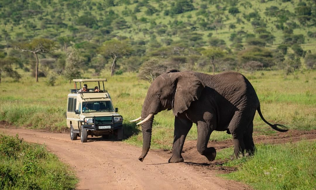 Northern Circuit Tanzania Serengeti