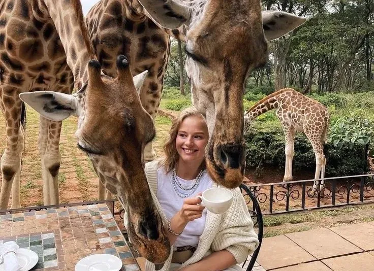 2 Days Kilimanjaro Lemosho Route and Serval Wildlife Sanctuary