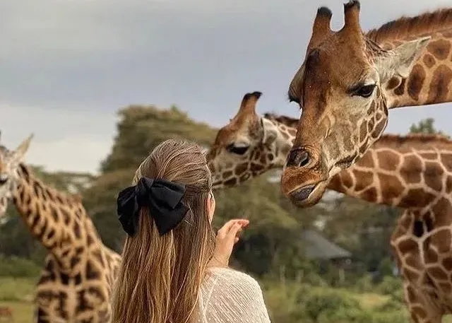 2 Day Kilimanjaro & Serval Wildlife