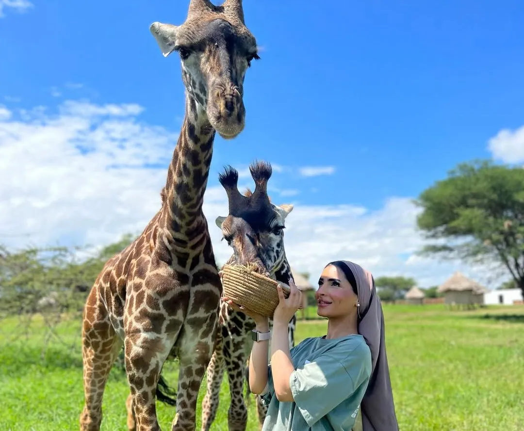 Serval Wildlife Sanctuary Day Trip – Wildlife Encounters