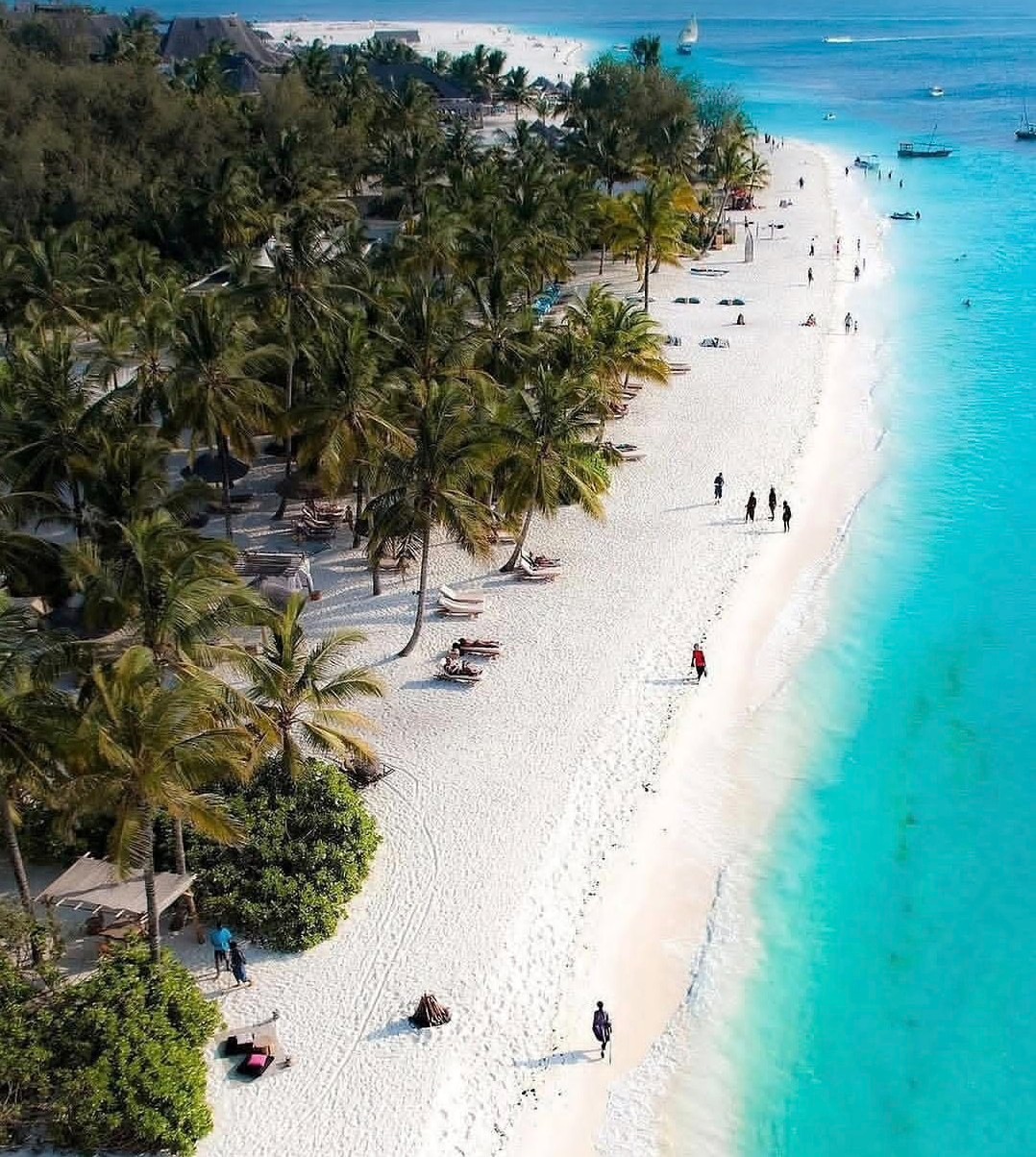 Fly-in safari from Zanzibar to Selous