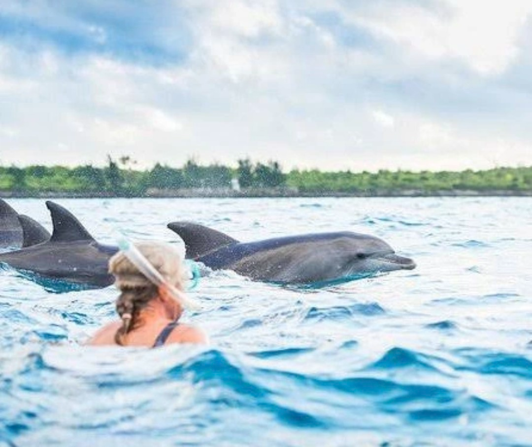 Zanzibar coast Tanzania